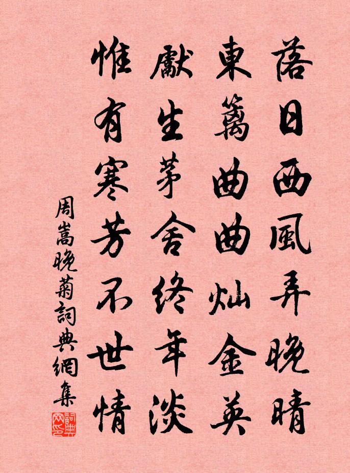 周嵩晚菊书法作品欣赏