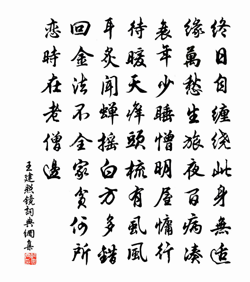 王建照镜书法作品欣赏