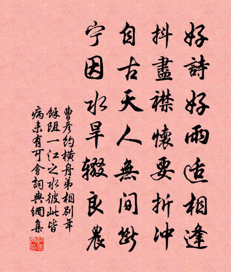 曹彦约横舟弟相别年馀阻一江之水彼此皆病未有可会书法作品欣赏