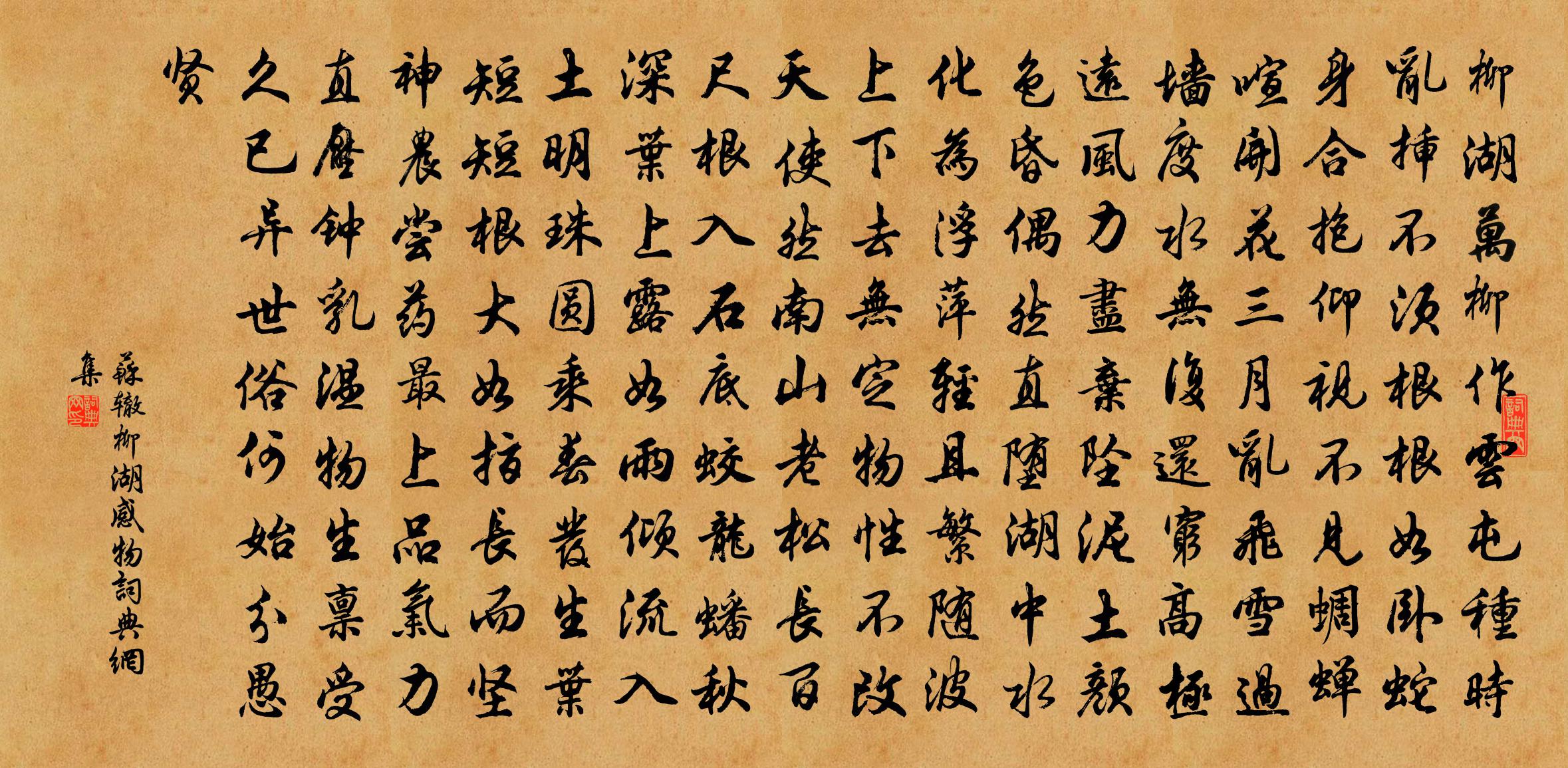 苏辙柳湖感物书法作品欣赏