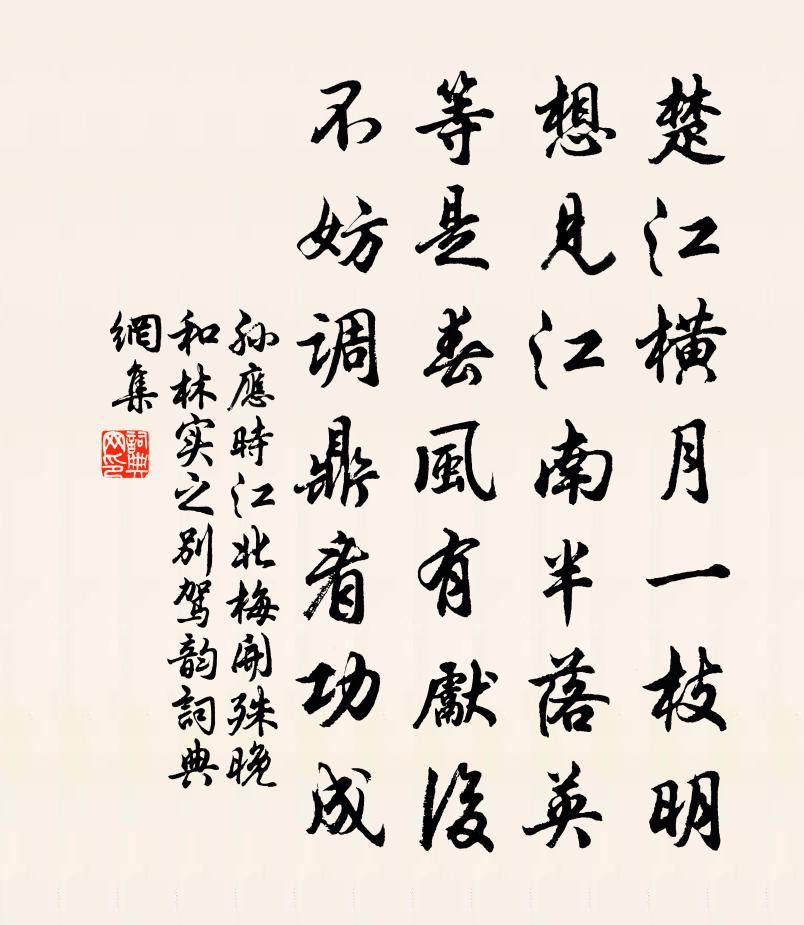 孙应时江北梅开殊晚和林实之别驾韵书法作品欣赏