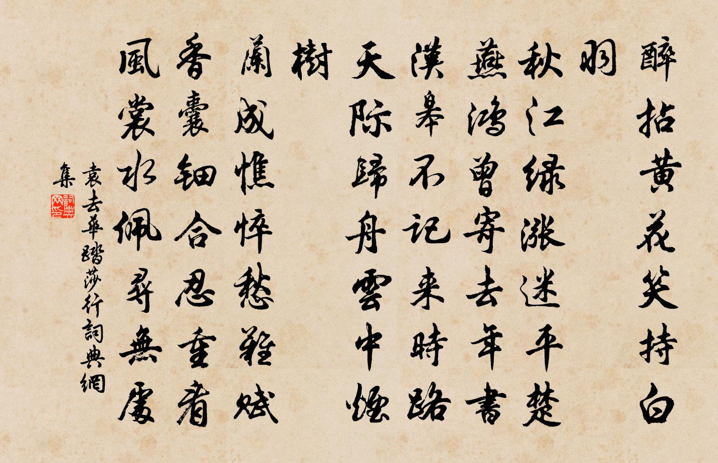 袁去华踏莎行书法作品欣赏
