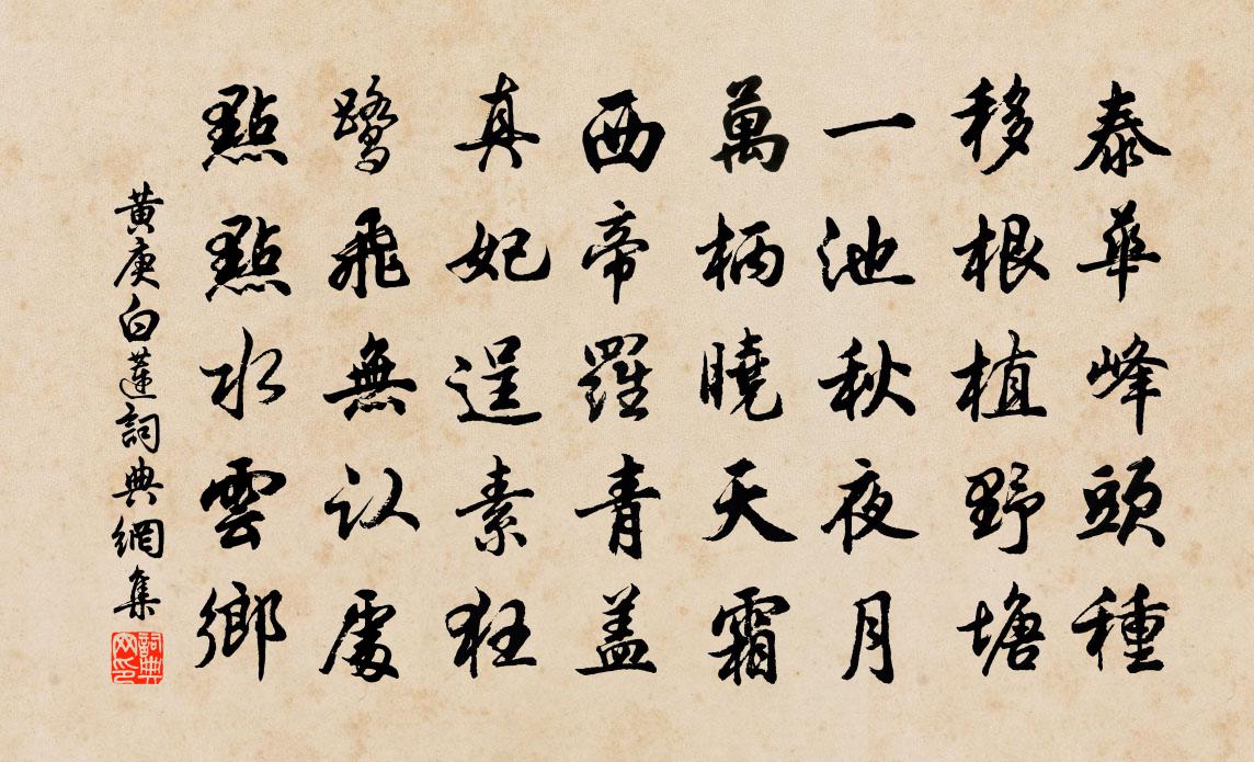 黄庚白莲书法作品欣赏