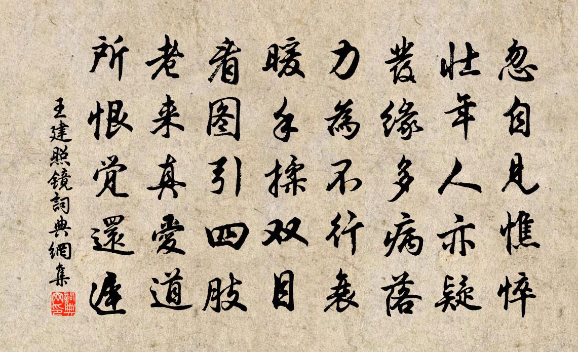 王建照镜书法作品欣赏
