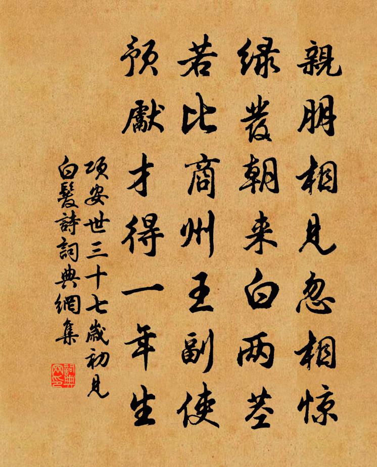 项安世三十七岁初见白发诗书法作品欣赏