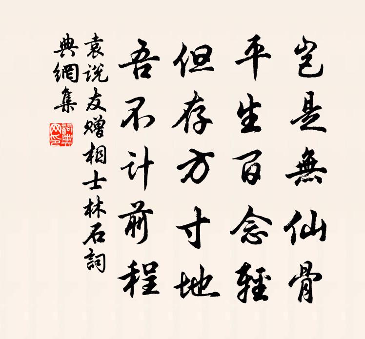 袁说友赠相士林石书法作品欣赏