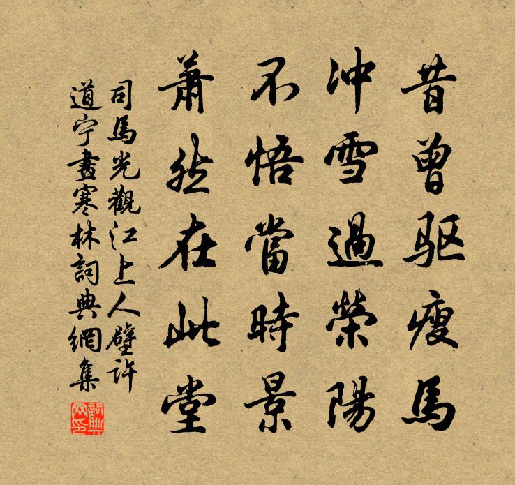 司马光观江上人壁许道宁画寒林书法作品欣赏