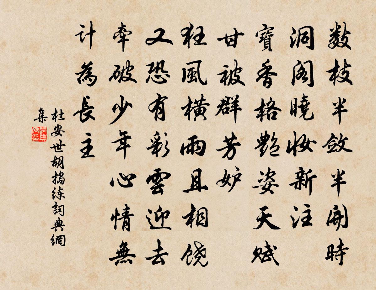 杜安世胡捣练书法作品欣赏