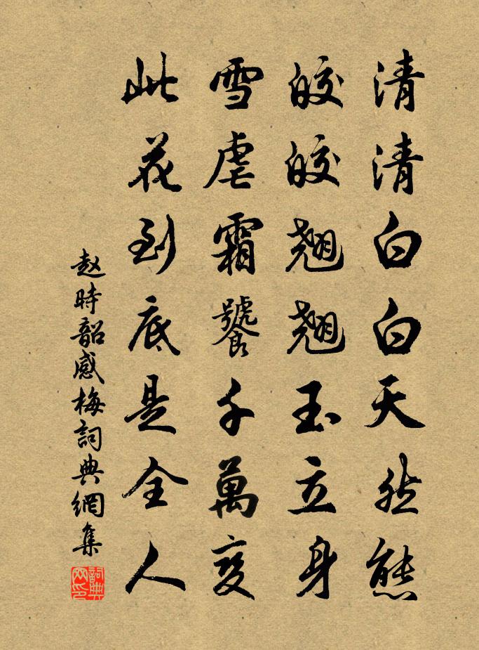 赵时韶感梅书法作品欣赏