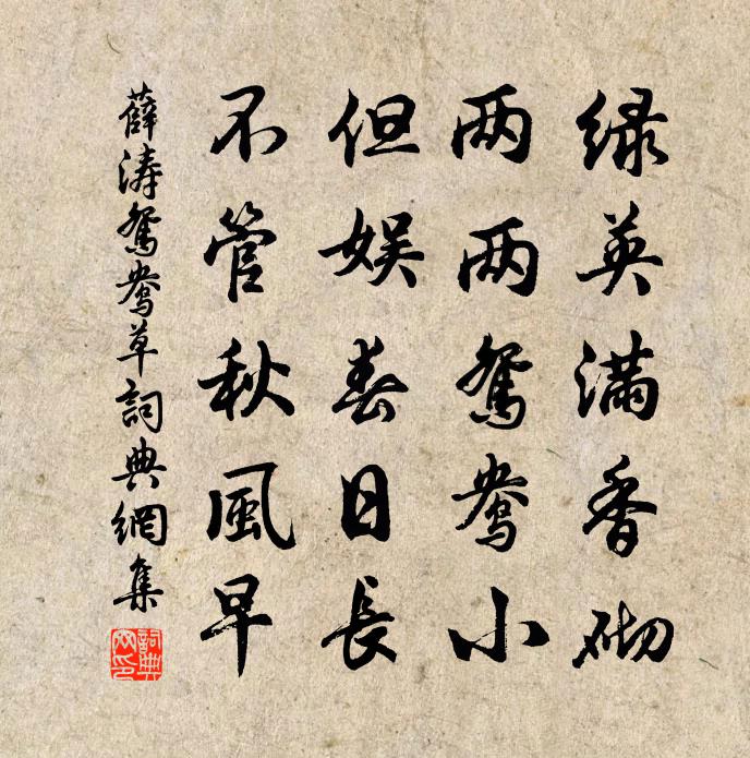 薛涛鸳鸯草书法作品欣赏