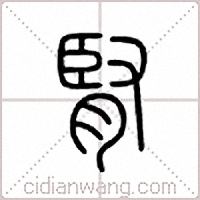 肾篆书