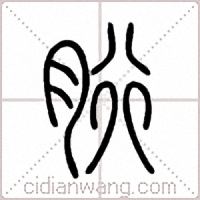 胻篆书