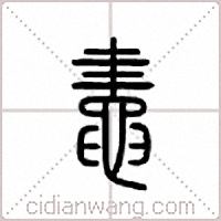 鼃篆书