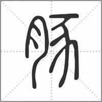 豚小篆