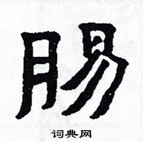 腸怎么写好看
