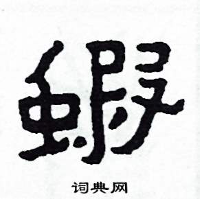 蝦怎么写好看