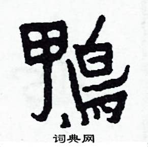 鴨怎么写好看